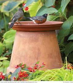 Easy Bird Bath Ideas & Tips -   22 garden art bird baths
 ideas