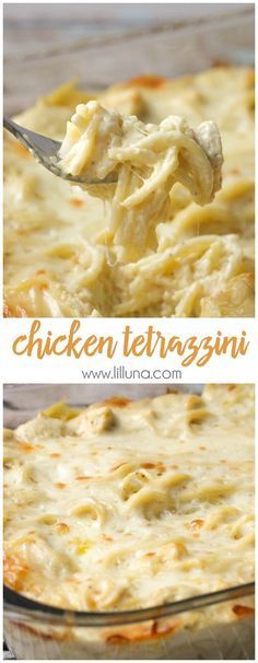 Chicken Tetrazzini -   23 cheesy chicken recipes
 ideas