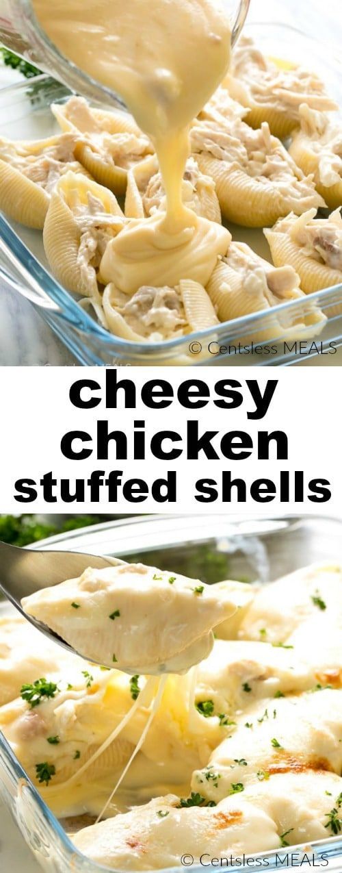 This recipe for Cheesey Chicken Stuffed Shells tastes so much like macaroni and cheese with chicken, you will love it! -   23 cheesy chicken recipes
 ideas