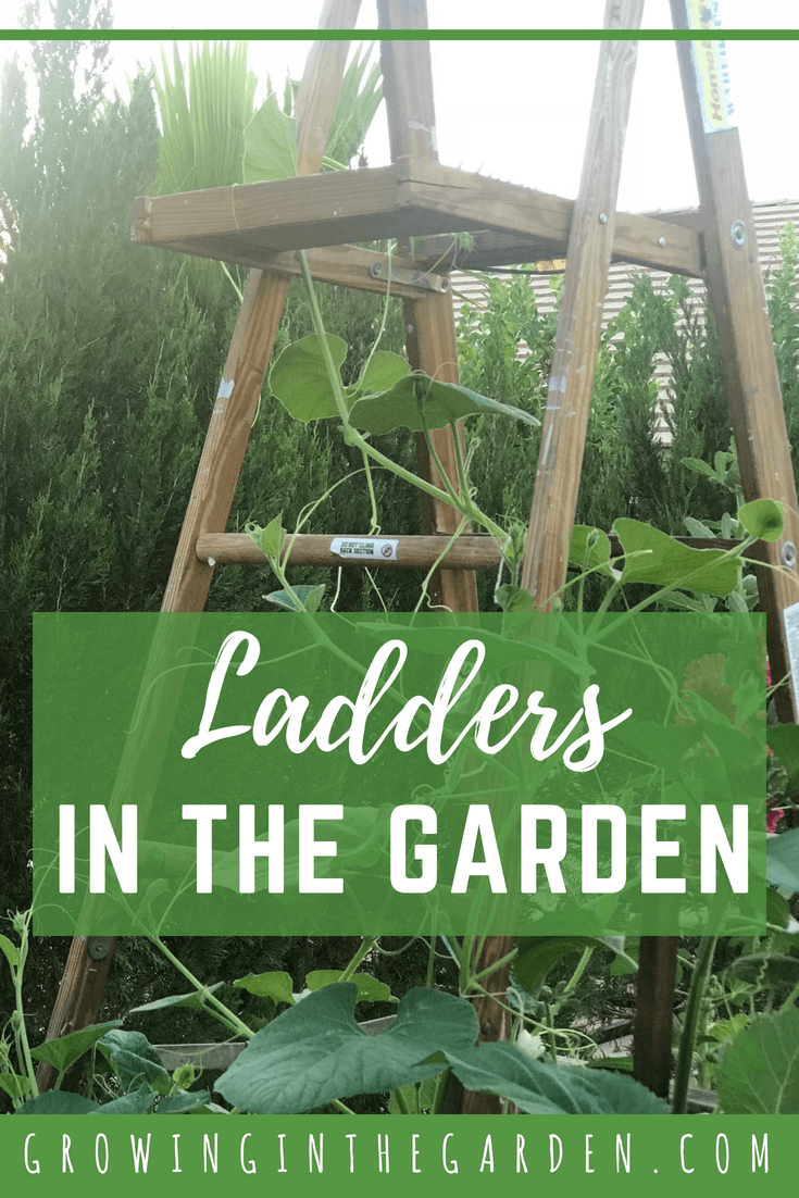 Ladders in the Garden -   23 fairy garden ladder
 ideas