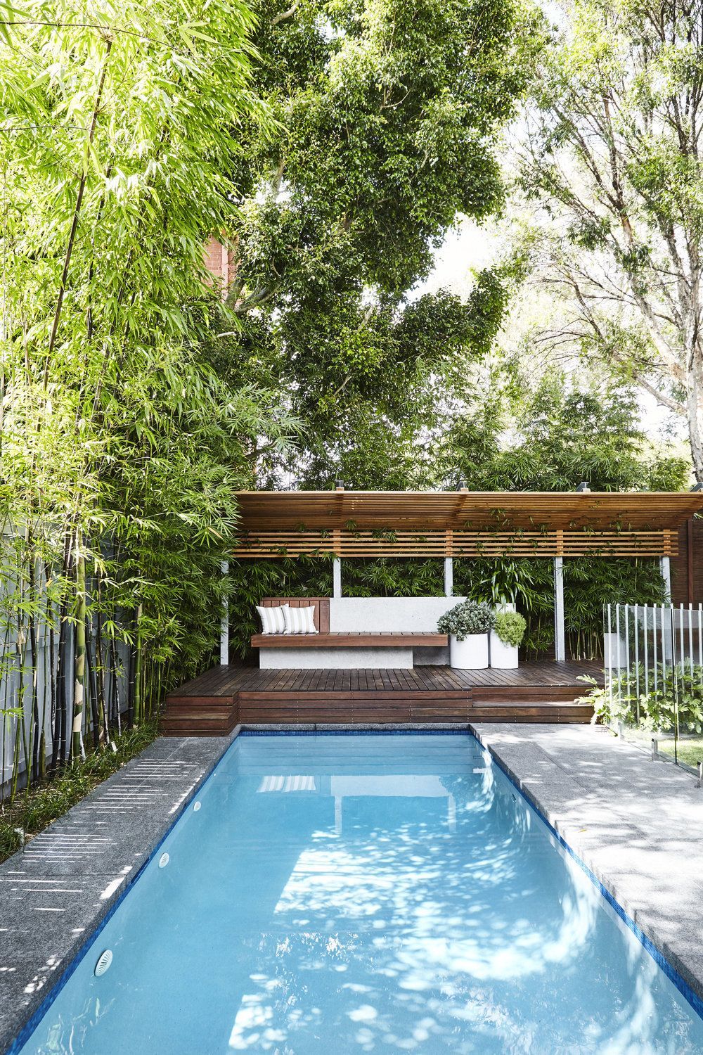 Pool + Garden Design. Randwick, Sydney - Outdoor Establishments -   23 home garden pool
 ideas