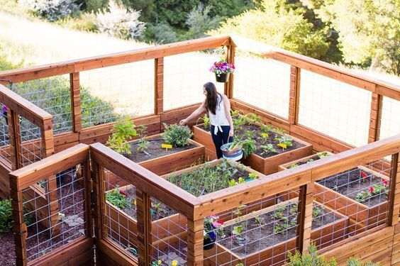 27 Cheap DIY Fence Ideas for Your Garden, Privacy, or Perimeter -   23 short garden fence
 ideas