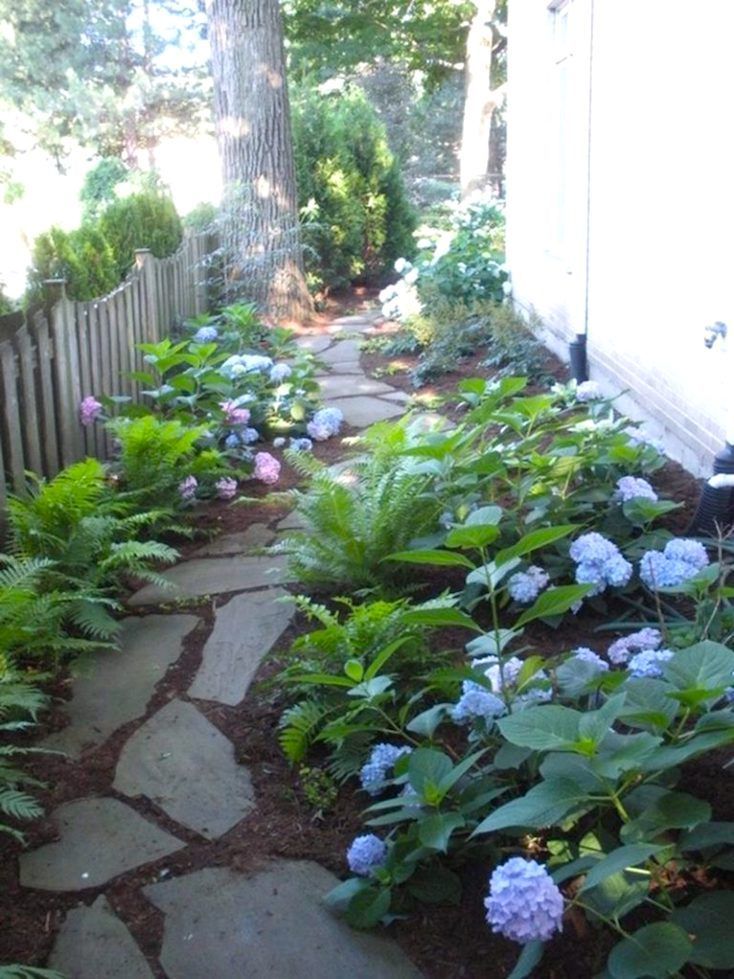 24 garden path budget
 ideas