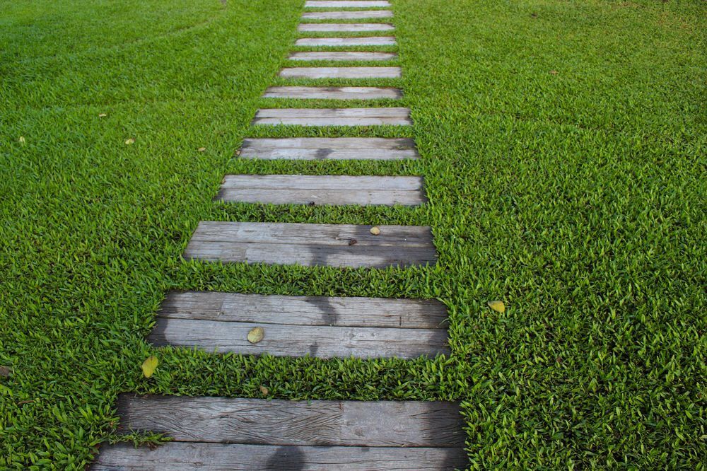 DIY Garden Paths And Backyard Walkway Ideas -   24 garden path budget
 ideas
