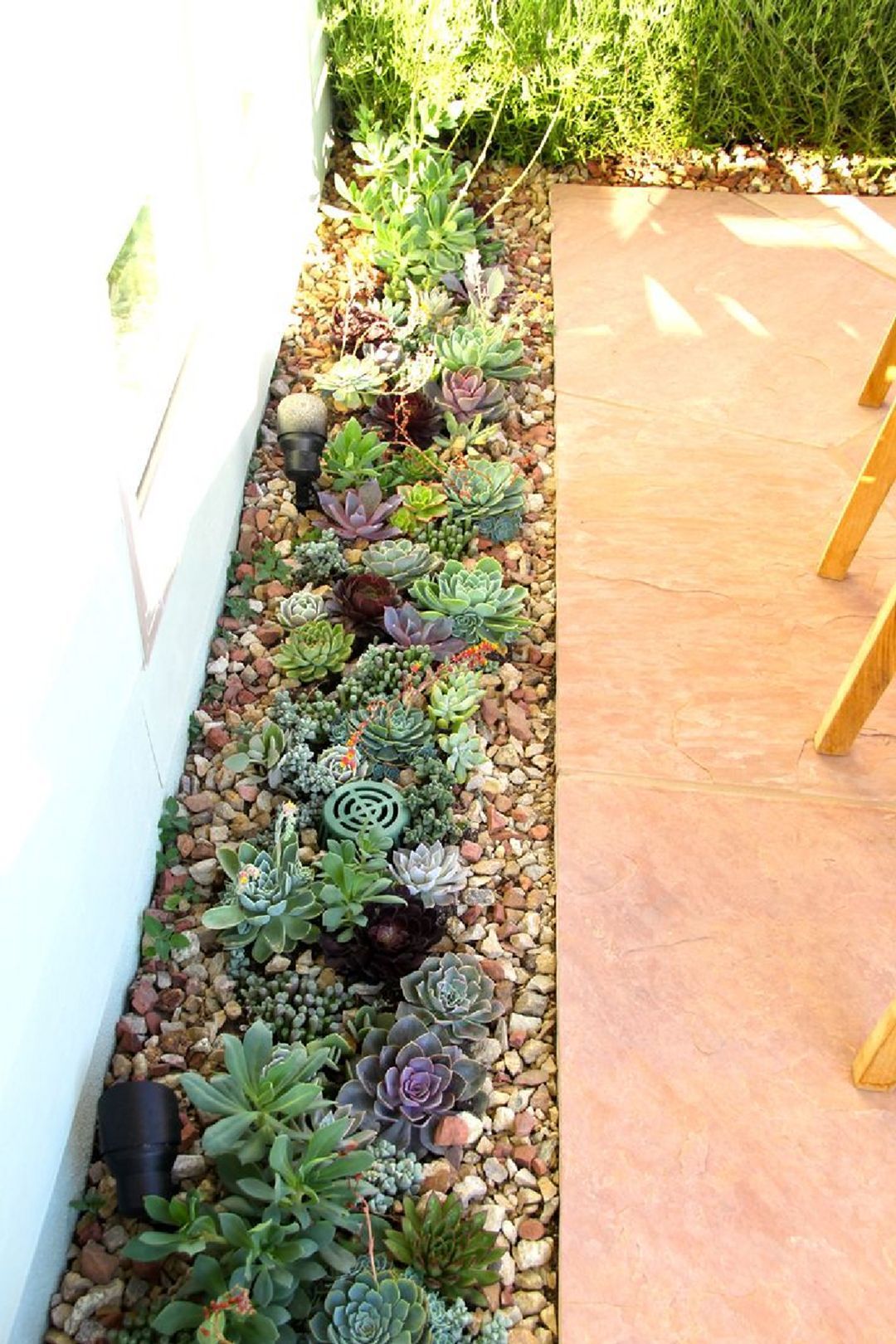 15 Gorgeous Succulent Garden Ideas for Your Backyard -   24 home garden yard ideas