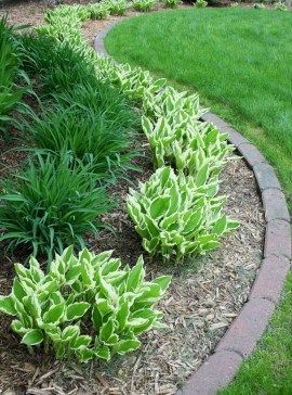 40 Best Front Yard and Backyard Landscaping Ideas for Your Home -   24 home garden yard ideas