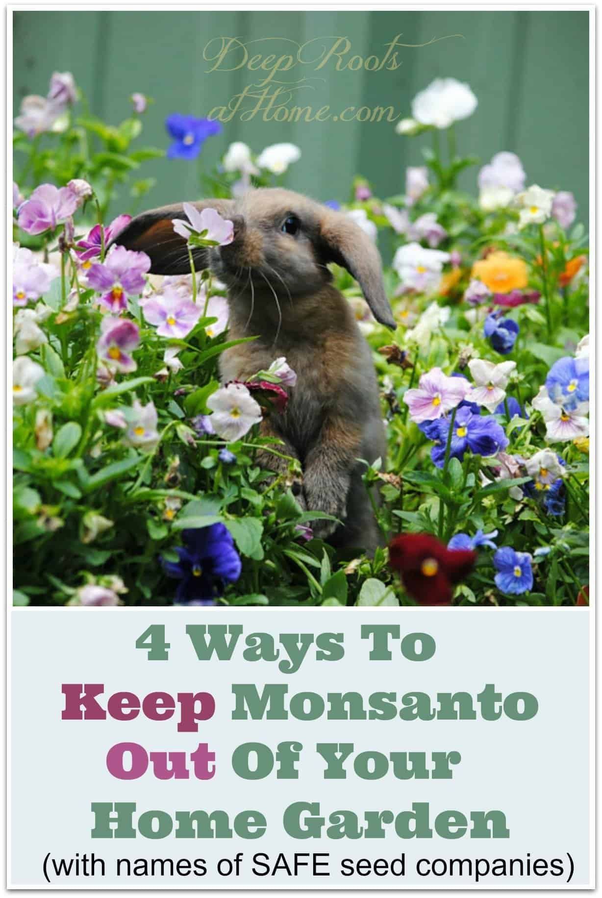 4 Ways To Keep Monsanto Out Of Your Home Garden -   24 home garden yard ideas