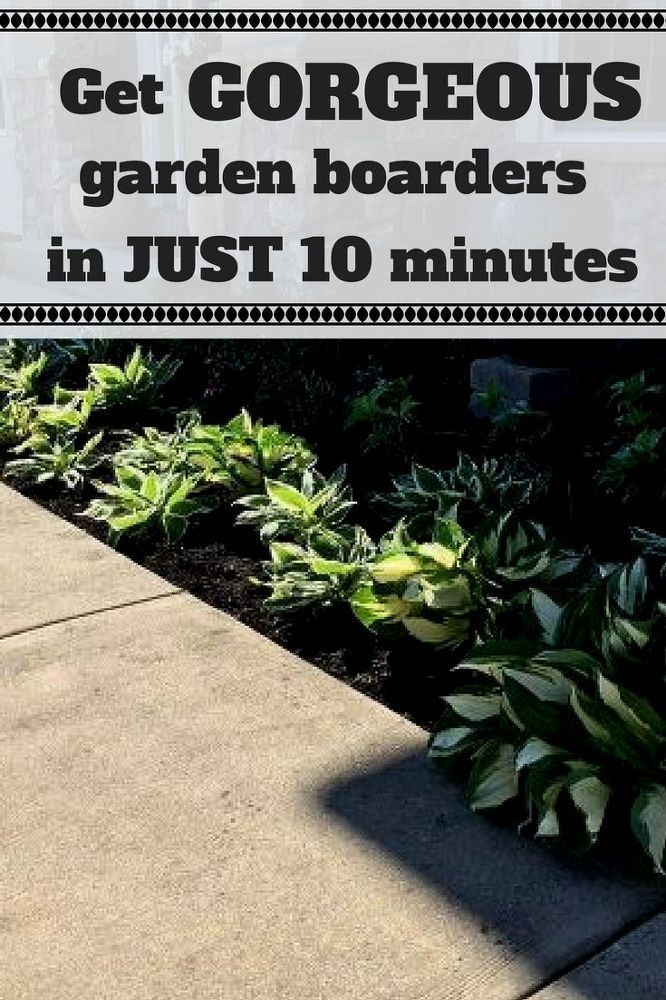 Five Different Garden Borders -   24 home garden yard ideas