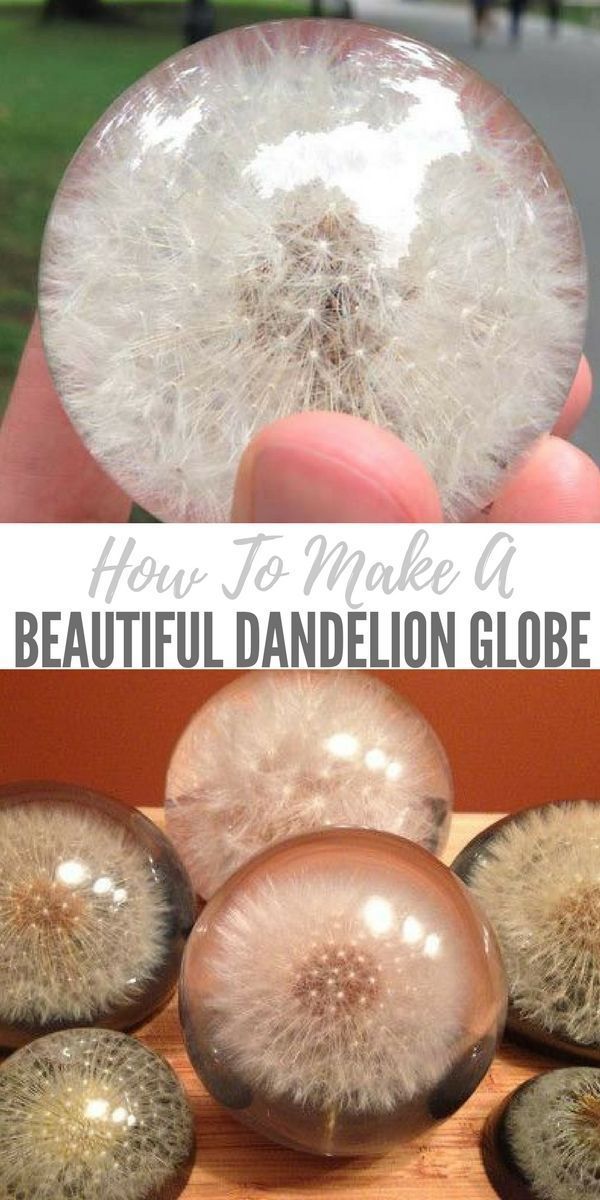 How To Make a Beautiful Dandelion Paperweight Globe -   25 diy crafts to make
 ideas