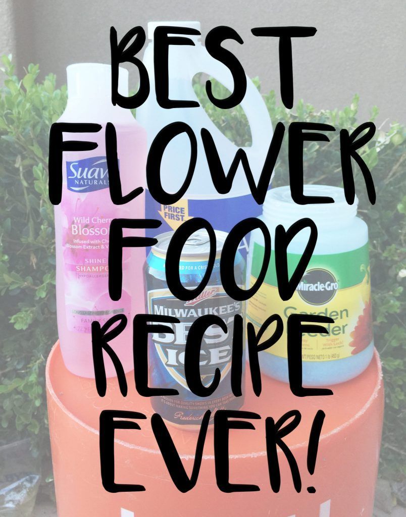 25 diy flower food
 ideas