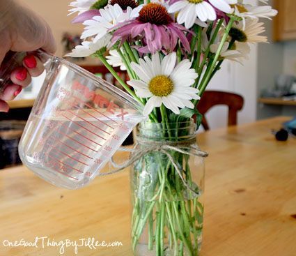 How To Make Your Fresh Cut Flowers Last Longer · Jillee -   25 diy flower food
 ideas