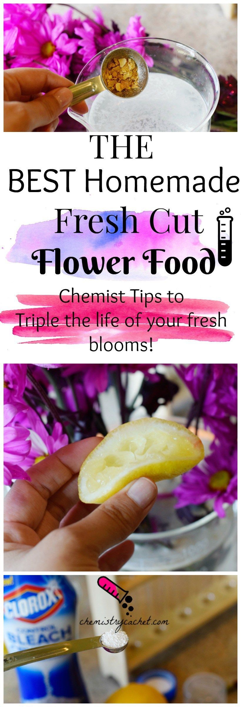 BEST Homemade Fresh Cut Flower Food Plus Tips on Why it Works -   25 diy flower food
 ideas