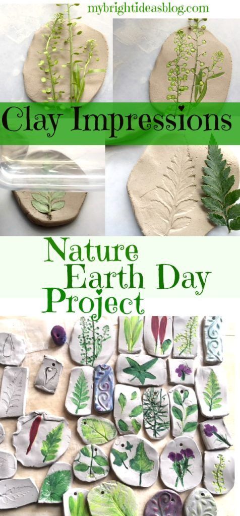 Nature Craft - Perfect for Earth Day Activity - Clay Imprints with Plants and Flowers -   25 nature crafts flowers
 ideas
