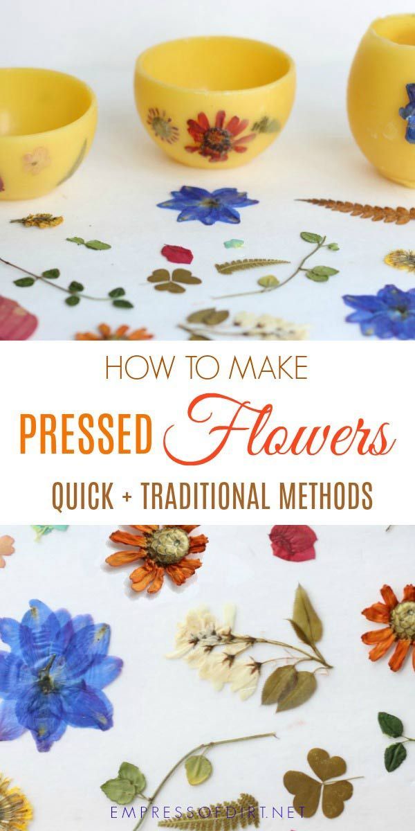 How to Press Flowers and Other Botanicals INSTANTLY -   25 nature crafts flowers
 ideas