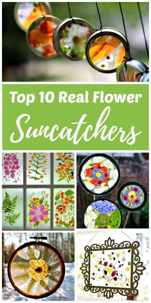 Top 10 Real Flower Suncatcher Crafts -   25 nature crafts flowers
 ideas
