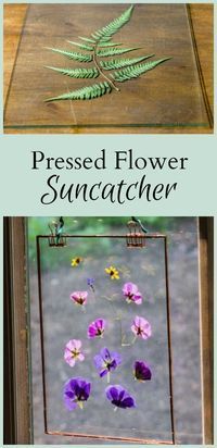 Pressed Flower Suncatcher: Easy and Inexpensive Gift to Make -   25 nature crafts flowers
 ideas