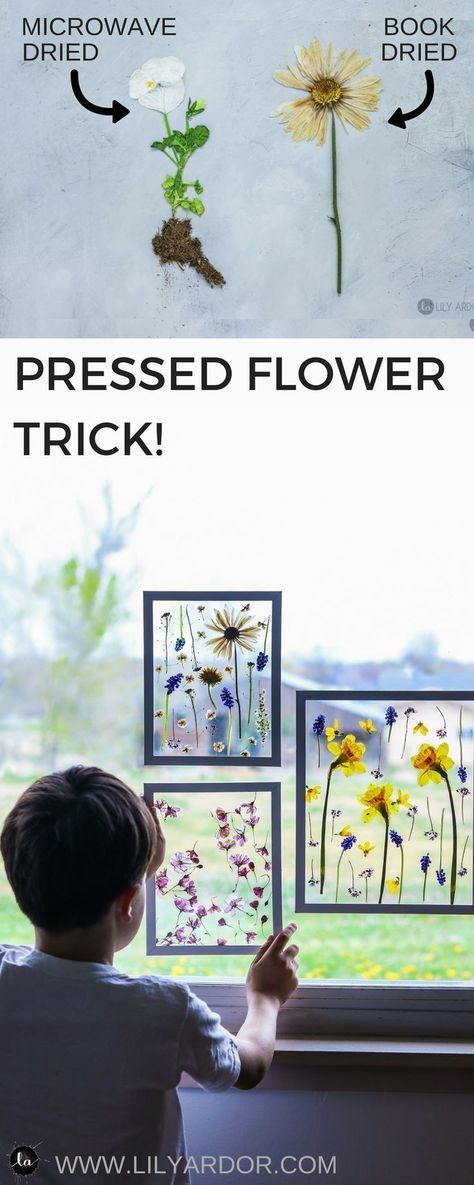 Mother's day craft ideas- PRESS FLOWERS in 3 MINUTES - -   25 nature crafts flowers
 ideas