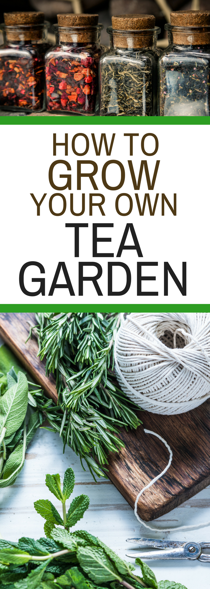How to Grow Your Own Tea Garden -   25 veggie garden design
 ideas