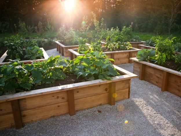 20 Raised Bed Garden Designs and Beautiful Backyard Landscaping Ideas -   25 veggie garden design
 ideas