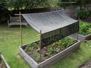 How to make garden shade | Sustainable Gardening Australia -   25 veggie garden design
 ideas