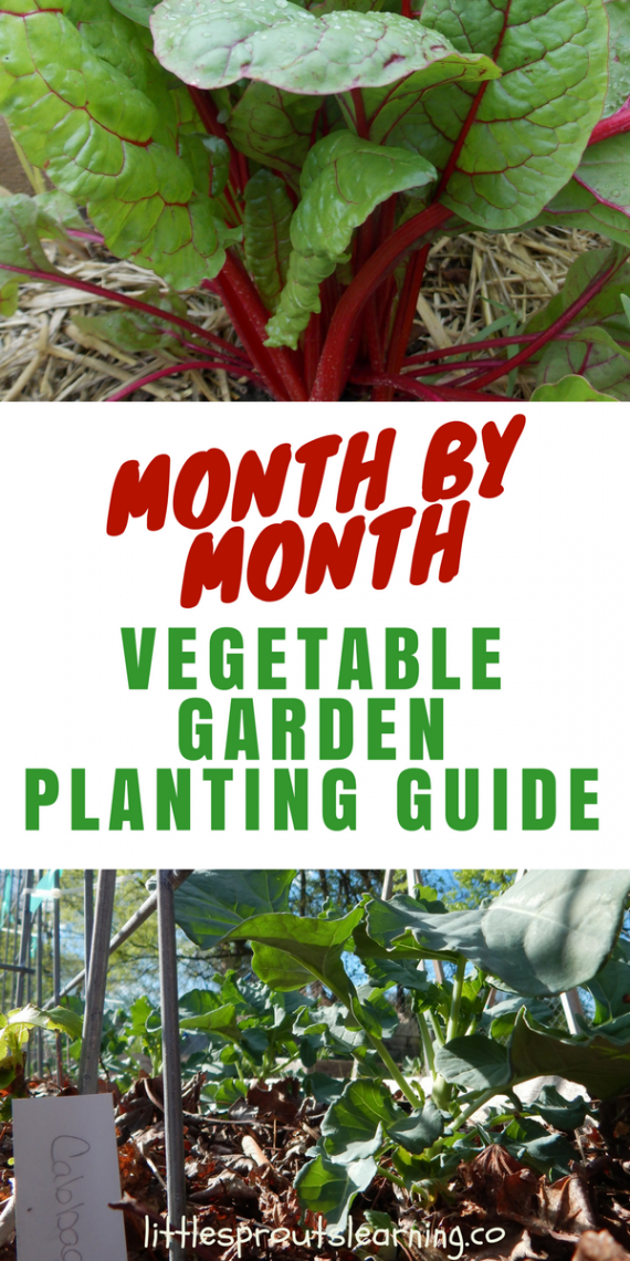 Month by Month Vegetable Garden Planting Guide -   25 veggie garden design
 ideas
