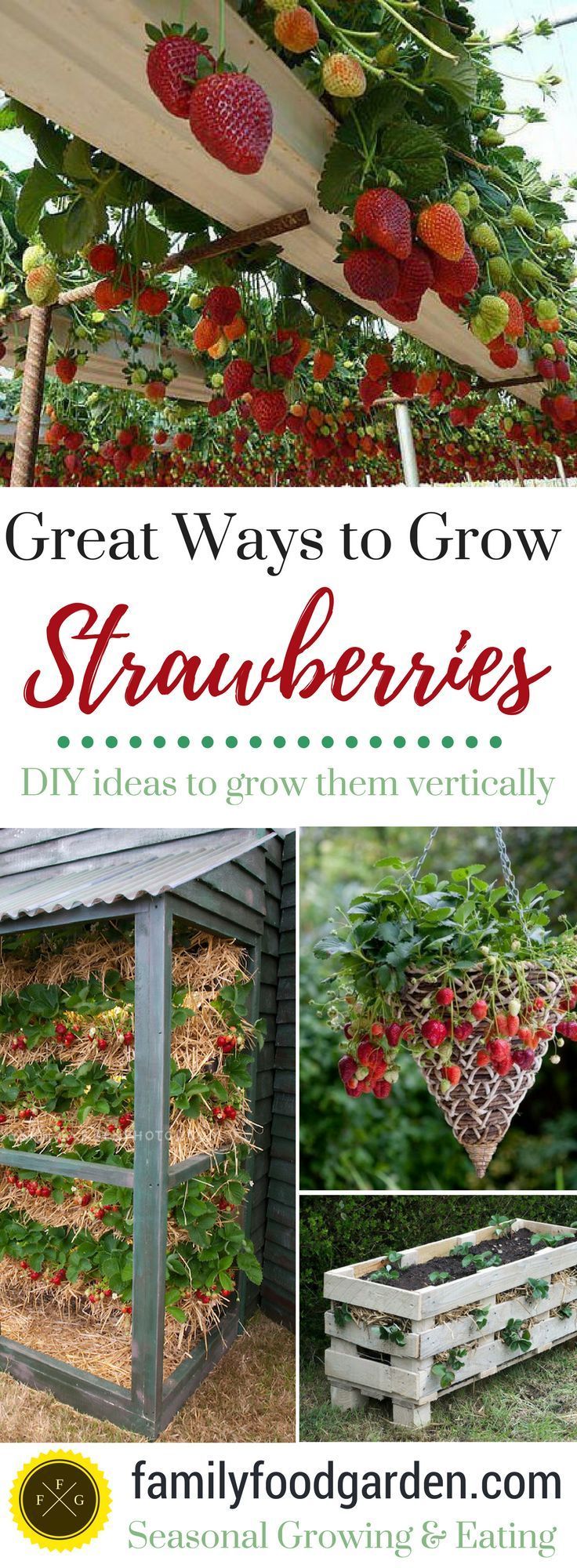 Best Ways to Grow Strawberries in Containers -   25 veggie garden design
 ideas