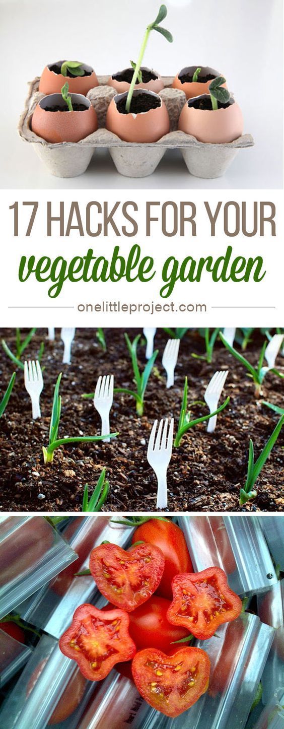 17 Clever Vegetable Garden Hacks -   25 veggie garden design
 ideas