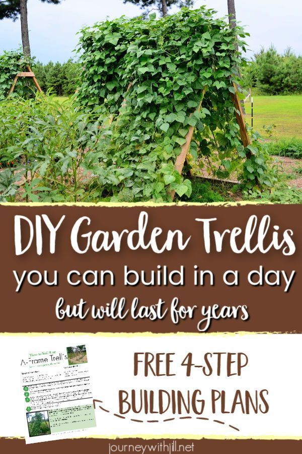 If you're looking for DIY Garden trellis ideas, this easy design will get you started in vertical gardening! Whether you grow pole beans, runner beans, peas, or other climbing vegetables, this tutorial will teach you how to build this homemade wooden bean trellis. It's budget-friendly and will last for years! -   25 vertical garden trellis
 ideas