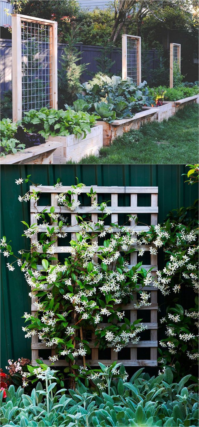 21 Easy DIY Garden Trellis Ideas & Vertical Growing Structures -   25 vertical garden trellis
 ideas