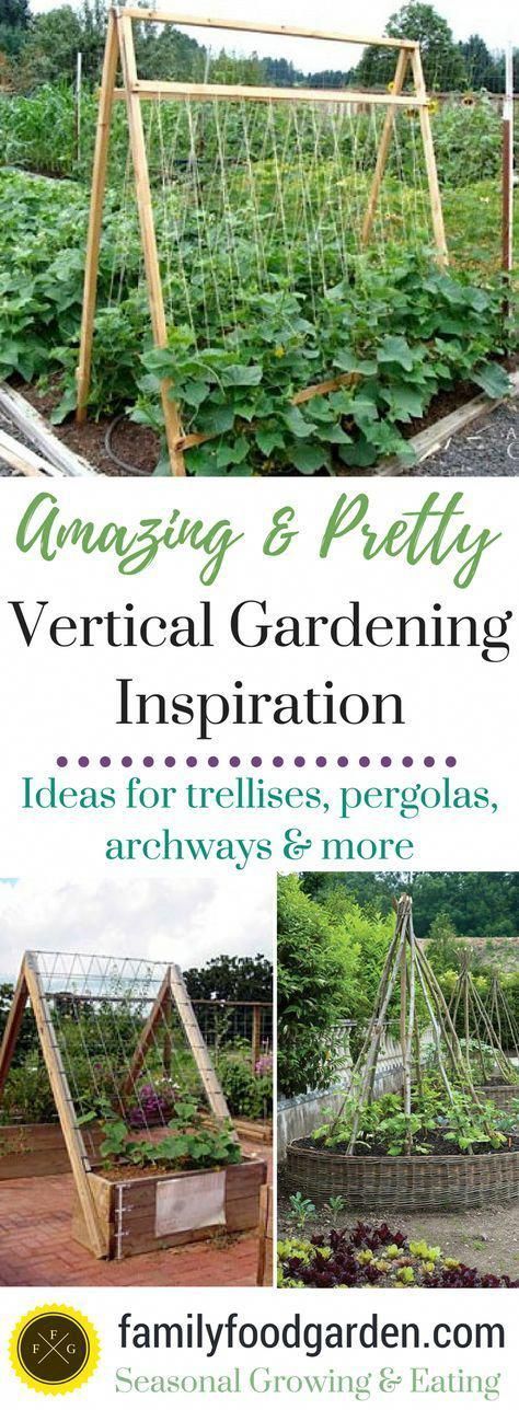 Don't you just love the sight of flowers and food growing upwards? After sharing with you  '5 Gorgeous Vertical Gardening Beds' last year I wanted to offer you some more vertical gardening inspiration. Why is vertical gardening so great? For one it adds beauty and architecture to your garden. By -   25 vertical garden trellis
 ideas