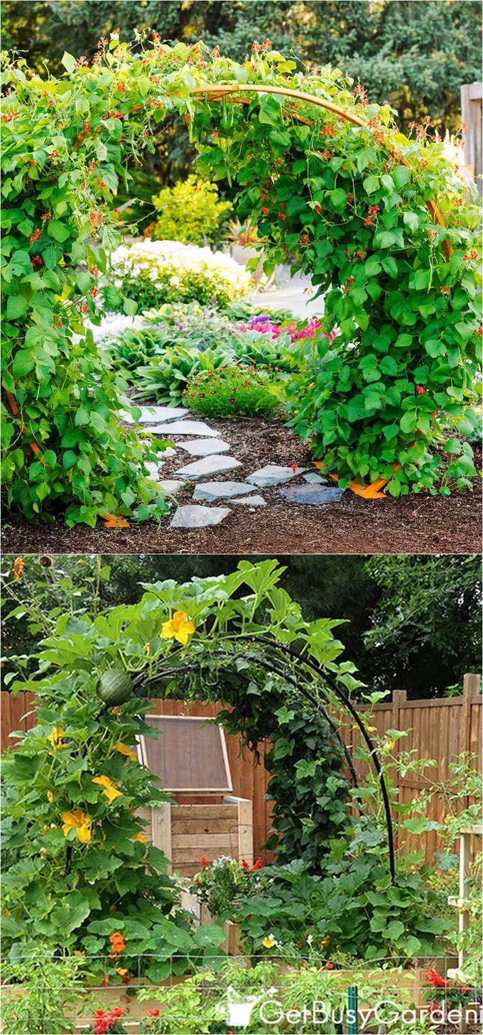 Create enchanting garden spaces with 21 beautiful and DIY friendly trellis and garden structures, such as tunnels, teepees, pergolas, screens and more! - A Piece Of Rainbow -   25 vertical garden trellis
 ideas
