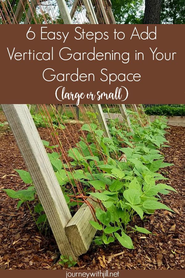 6 Easy Steps to Add Vertical Gardening in Your {small or large} Garden Space -   25 vertical garden trellis
 ideas