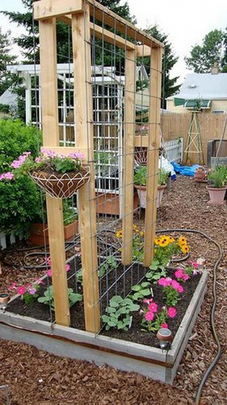 Gorgeous DIY Trellis Ideas for Your Garden -   25 vertical garden trellis
 ideas