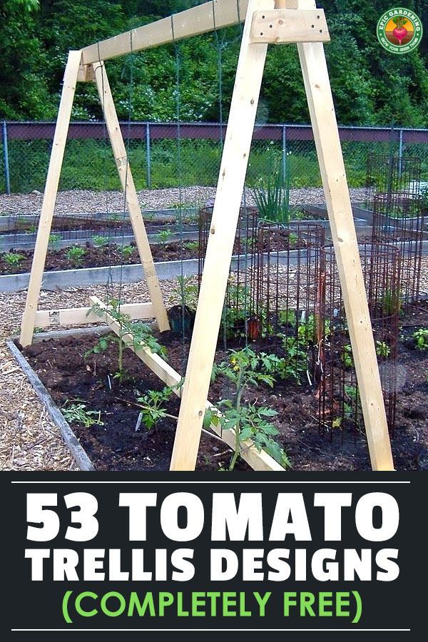 53 Tomato Trellis Designs (Completely Free) -   25 vertical garden trellis
 ideas