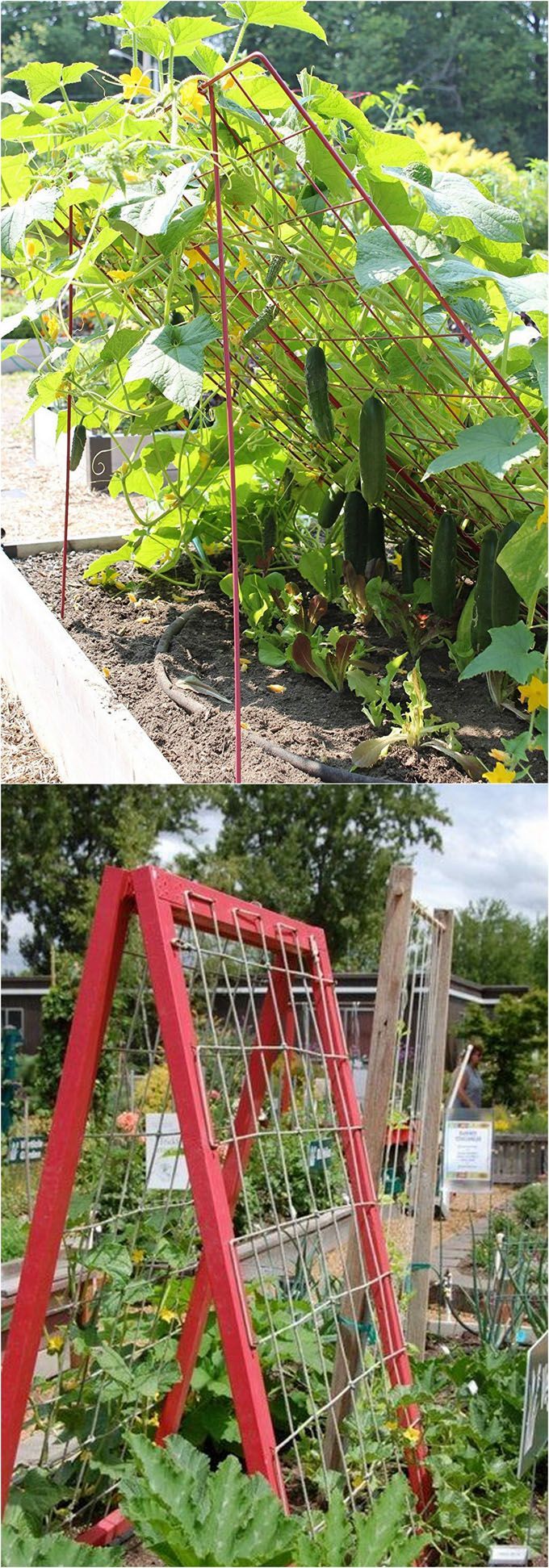 21 Easy DIY Garden Trellis Ideas & Vertical Growing Structures -   25 vertical garden trellis
 ideas