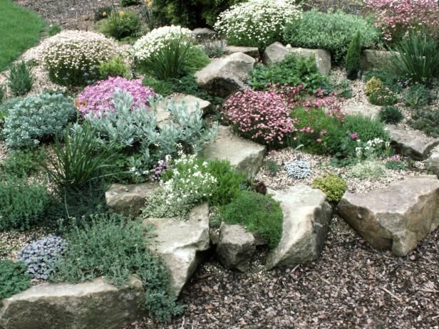 Create a Rock Garden: Tips for Success -   10 alpine rock garden
 ideas