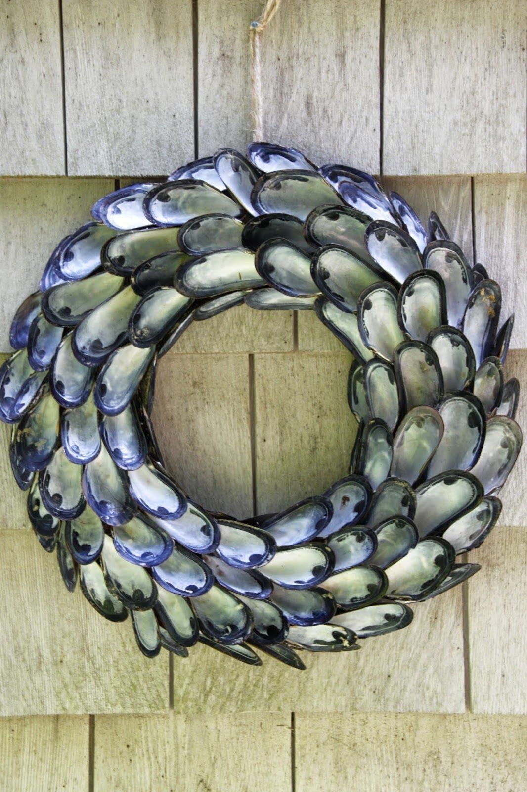 A Coastal Inspired Shell Wreath -   12 mussel shell crafts
 ideas