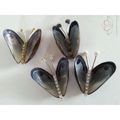Mossel Zeeuwse Mossels Mosselen zak 500 gram -   12 mussel shell crafts
 ideas