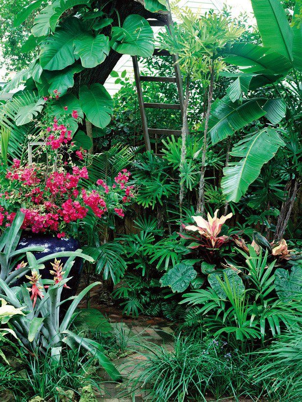 How to Make a Tropical Garden Design -   15 lush tropical garden
 ideas