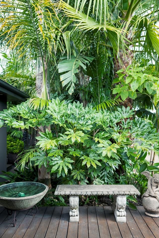 A tropical garden in the heart of Melbourne -   15 lush tropical garden
 ideas