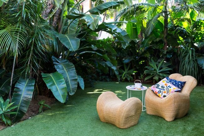 An airy Sydney home bursting with colour and print -   15 lush tropical garden
 ideas