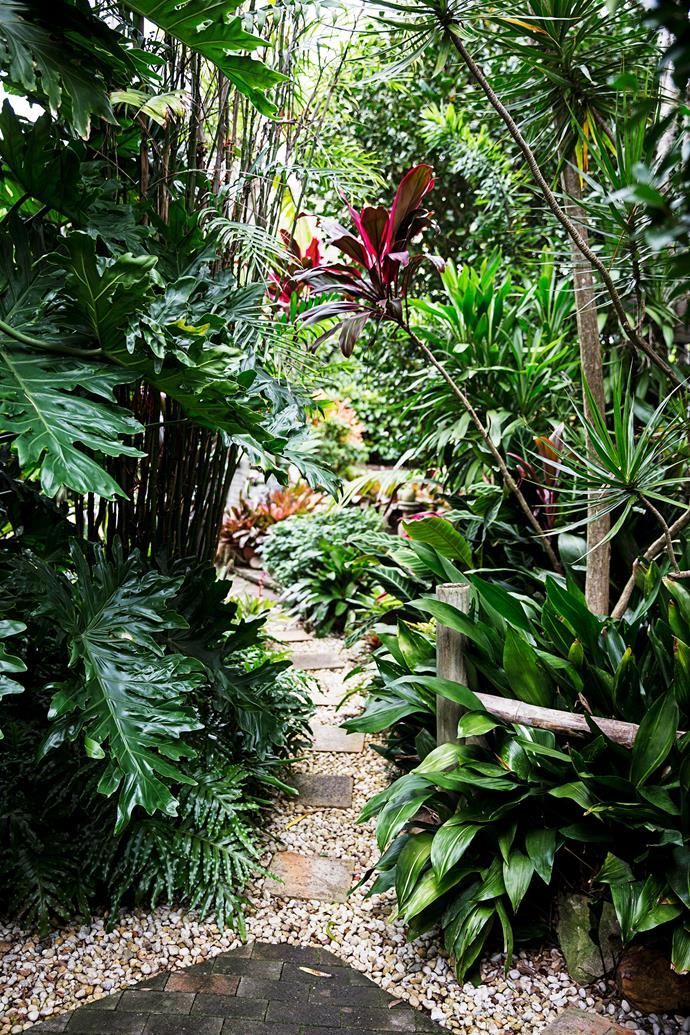 Tropical Gardening By The Beach -   15 lush tropical garden
 ideas