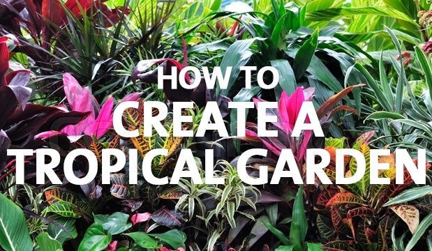 How to Create a Tropical Garden -   15 lush tropical garden
 ideas