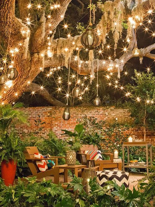 Awesome Garden Lights for Your Sweet Backyard -   15 lush tropical garden
 ideas