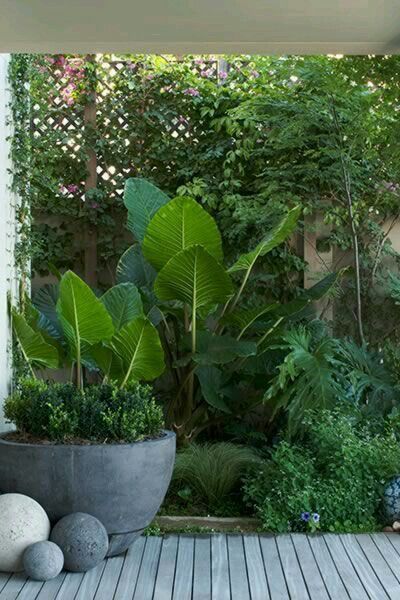 30+ Best Stone Patio Designs Ideas -   15 lush tropical garden
 ideas