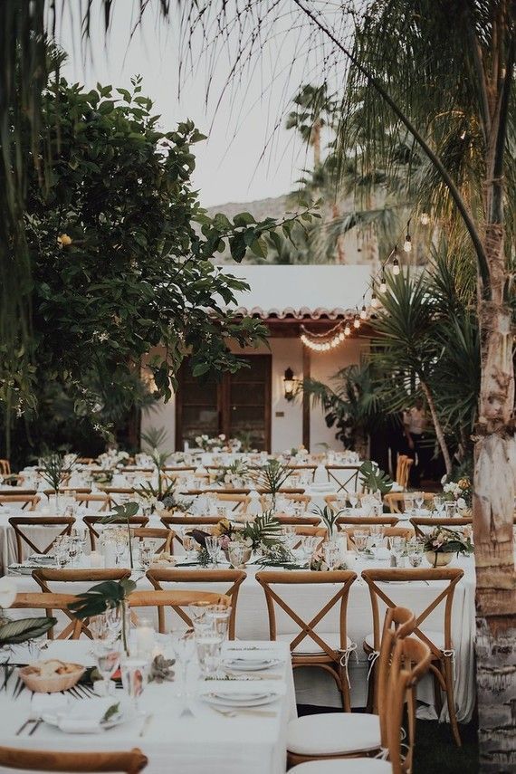 Tropical bohemian Palm Springs wedding: Jessica + Patrick (100 Layer Cake) -   15 lush tropical garden
 ideas