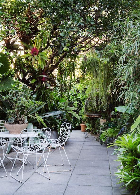 Ian McMaugh -   15 lush tropical garden
 ideas