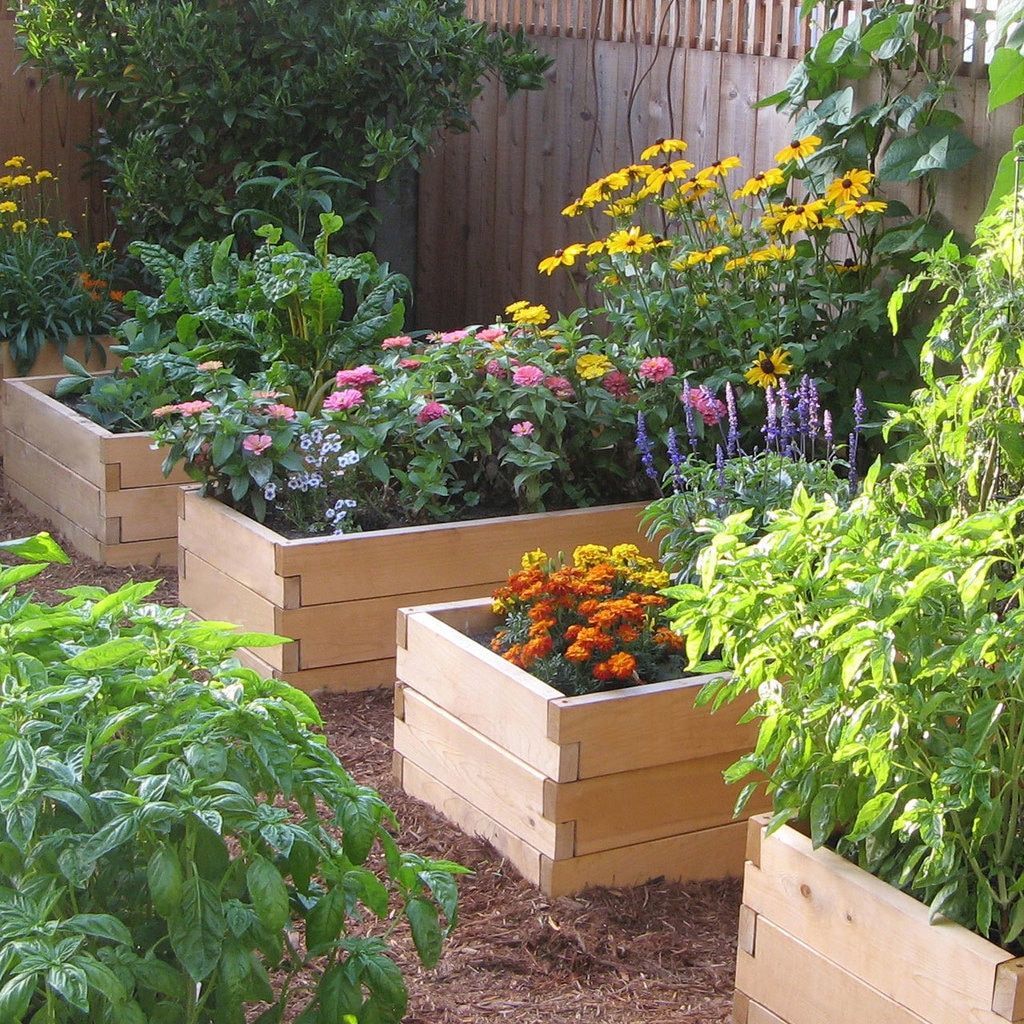 Natural Cedar Raised Garden Beds -   18 raised garden borders
 ideas