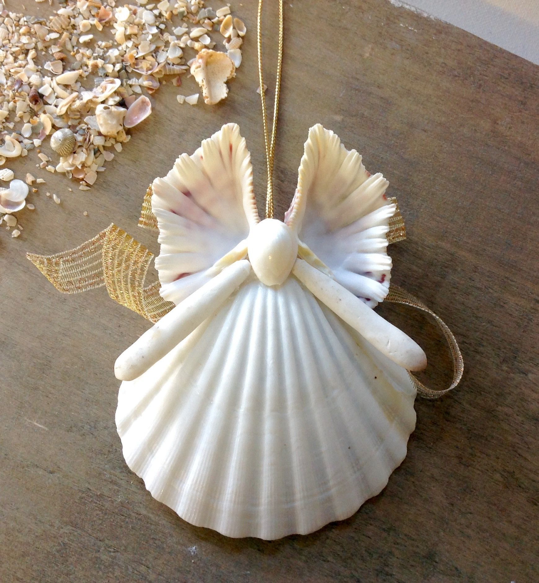 Butterfly Seashell Angel -   18 seashell crafts butterfly
 ideas