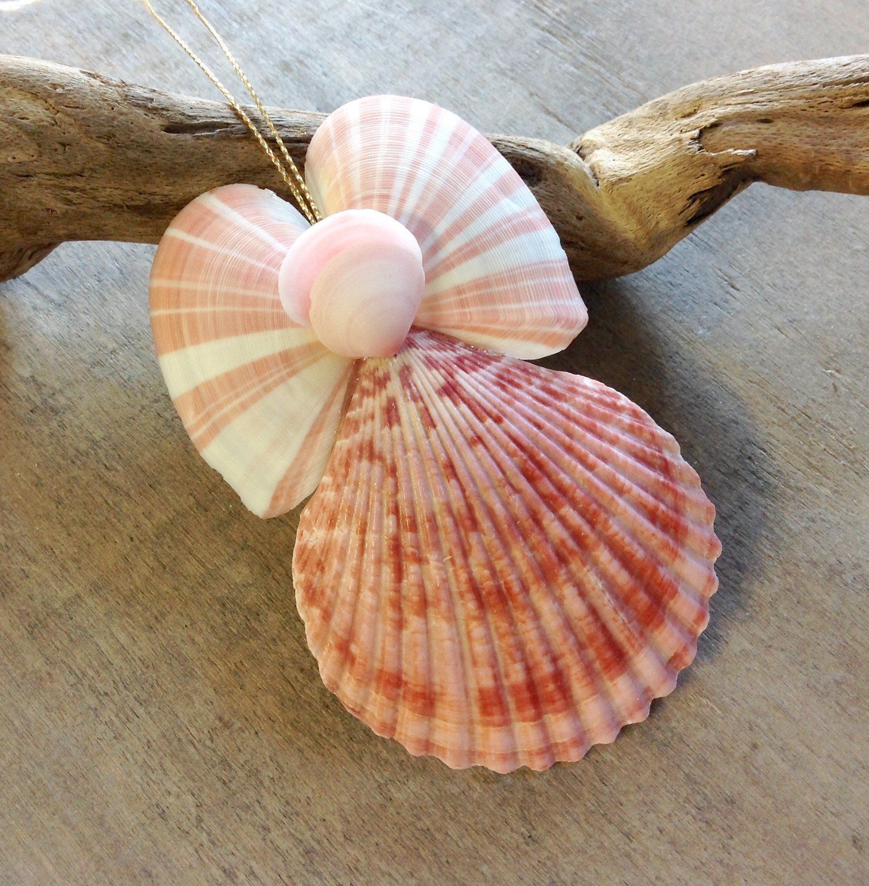 Rainbow Shell Angel -   18 seashell crafts butterfly
 ideas